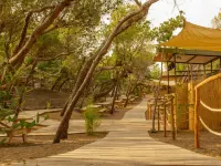 Csa Hotel - Park & Beach Hotels in Bibbona