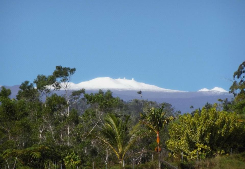 키칼라 워터폴 로지 썸네일