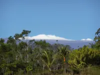 Kikala Waterfall Lodge Hotels in Hawaii island