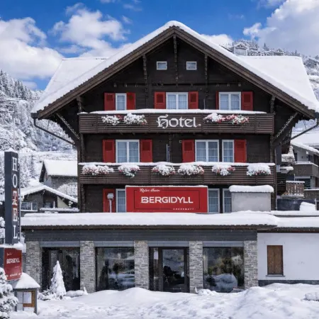 Hotel Bergidyll - Riders Haven Hotele w: Andermatt