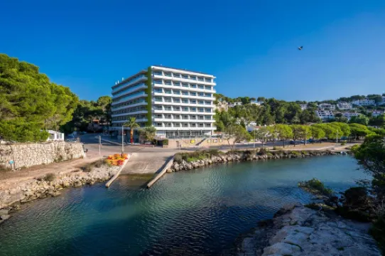 ARTIEM Audax - Adults Only