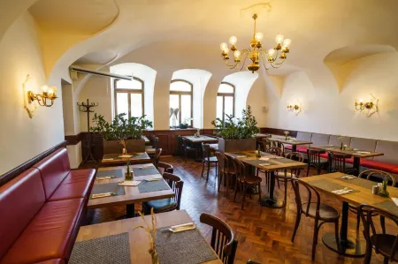 Hotel U Labutě Отели в г. Свратка