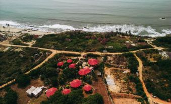 Paradise Ocean Resort