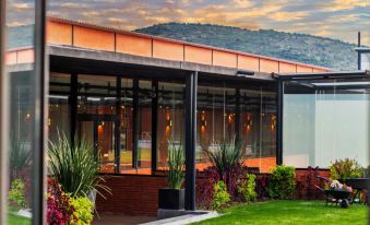 Hotel Brök San Juan del Río