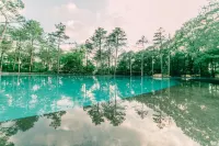 Longosphere Glamping - Pools