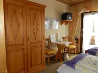 Hotel Dachsberger-Hof Hotels in Dachsberg