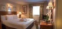 Apollo Hotel Hotels in Basingstoke