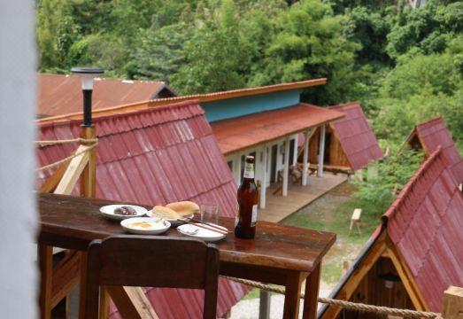 2. 미모사 인 농키..