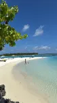 Turtle Hive - Velaa Vani