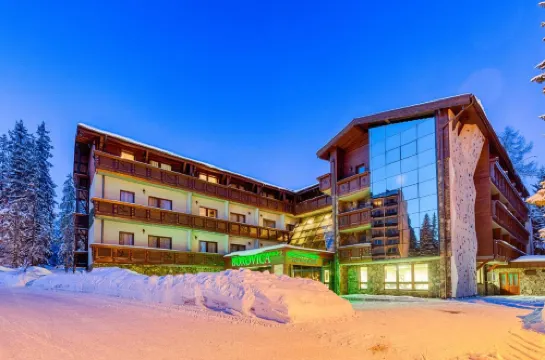Aplend Wellness Hotel Borovica
