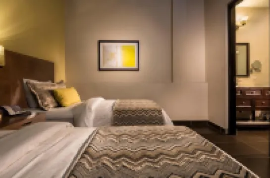 德坎特酒店 鄰近美洲博物館的酒店