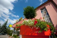 Hôtel Restaurant Logis la Palette Hotels in Eguisheim