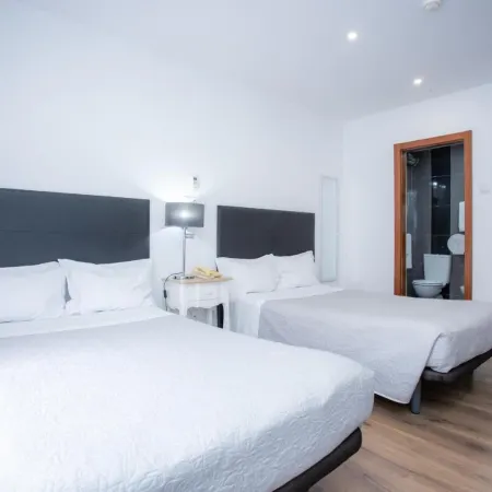 Hotel Domus