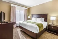 Comfort Suites Texas Ave Hotels in College Station
