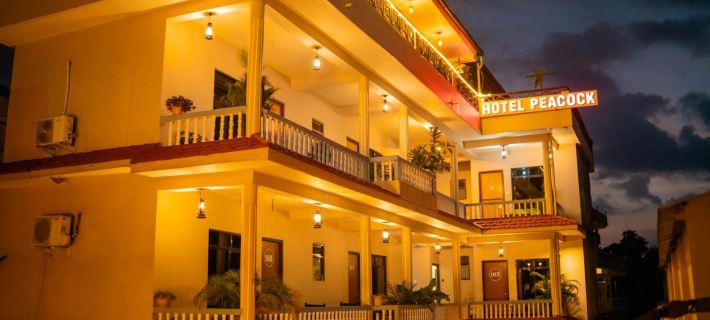Peacock - a family-run hotel Hotels in Sauraha