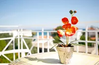 Agistri Apartments - View biển