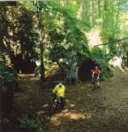 Hotel Zur Krone Hotels in Neroth