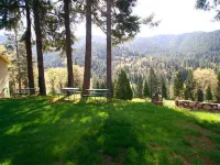 Dunsmuir Lodge - Homestays