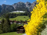 Bergwald Appartements Alpbach - con vistas a la montaña