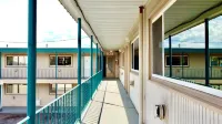 Silver Star Motel Hotels in Vernon