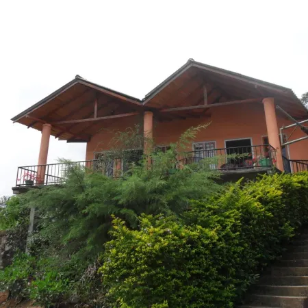 Tea Garden Holiday Inn