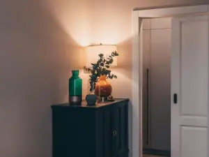Lindens Apartments with AC and View to Central Square