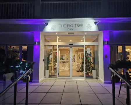 The Fig Tree Shanklin Hotels in Shanklin