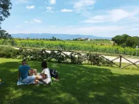 Tenuta San Jacopo - Agriturismo Hotels near Zibibbocafe