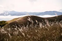 SANU 2nd Home Shirakabako 2nd