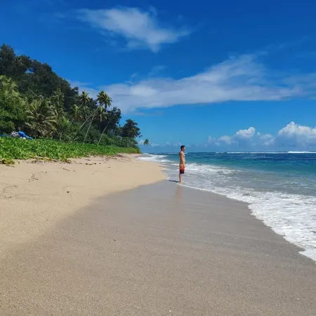 Tanna Chez Nous Bungalow & Tours