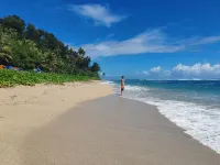 Tanna Chez Nous Bungalow & Tours