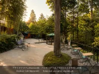 Tatsuta Ryokan - Mountain view