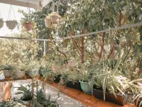 Little Home Homestay Hotels near Bãi tắm An Hải