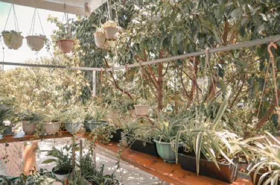 Little Home Homestay Отели рядом с достопримечательностью «Пуло-Кондор»