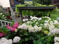 โรงแรมร้านอาหารแอลยูนีค