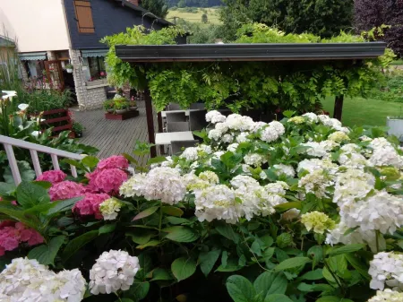 Logis Hôtel Restaurant l'Unique Отели в г. Безанкур