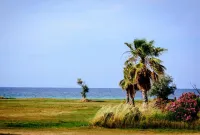 Nafsika Suites