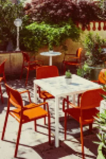 阿瑪迪斯奧拉&Amore