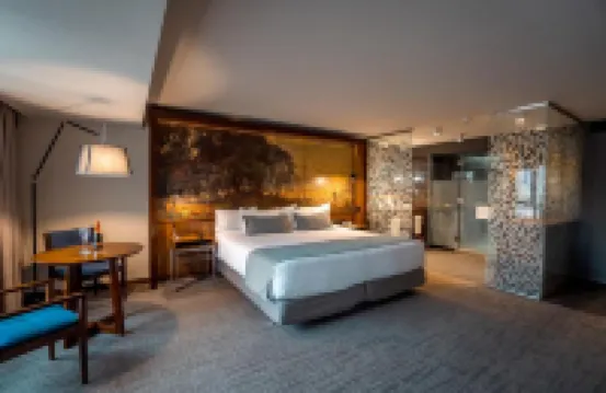 Hotel Cumbres Lastarria