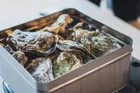 Sado Island Ocean View Kominka – Private Villa Annex, Sea Side Tsubaki Hotels in Sado