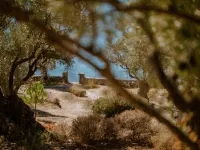 A Luxury Traditional Seafront Villa with amazing ambience and view in 15acre Olive Groove Hotels in Mytilene