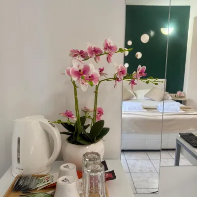 Apartments Ana & Ita Hotels near Zrce Festival Beach