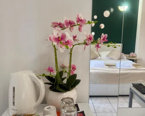 Apartments Ana & Ita Hotels in Novalja