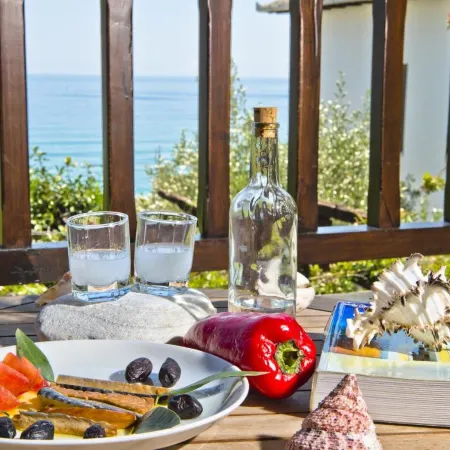 Flamingo Hotel Pelion - Seaside Superior Studios & Suites