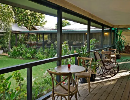 The Laurels of Chinchilla