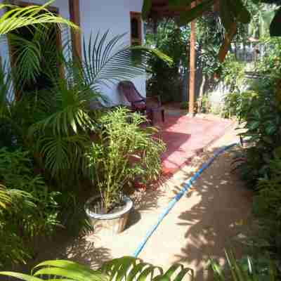 Surf & Sand Hotel Arugambay Hotel Exterior