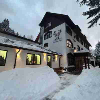 Cerbul Chalét Accommodation & Wellness Hotel Exterior