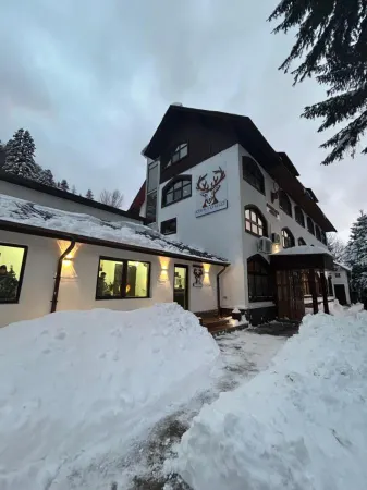 Cerbul Chalét Accommodation & Wellness Отели в г. Rasnov