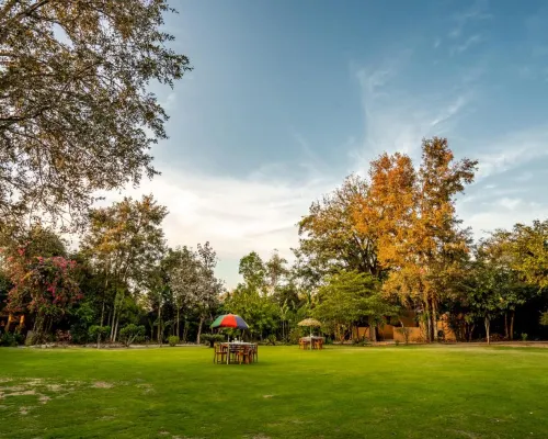 Mahua Vann Pench Hotels in Seoni