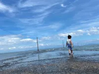Ichifukuso
